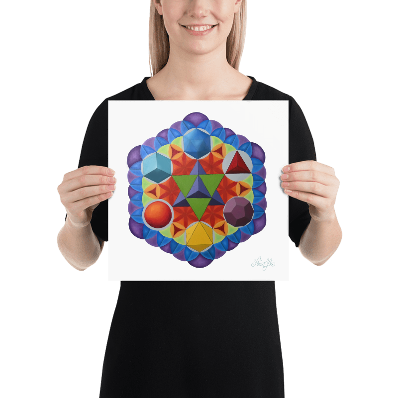 ¨Arquitectos Platónicos¨