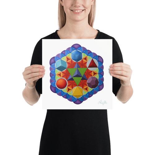 ¨Arquitectos Platónicos¨